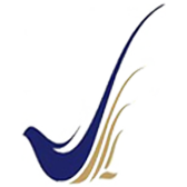 هواپیمایی ساها