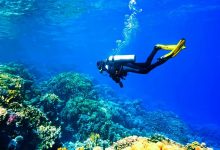 بهترین سایت های غواصی در قشم