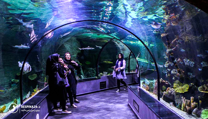 آکواریوم کیش