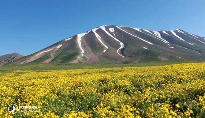نمایی از کوه سهند
